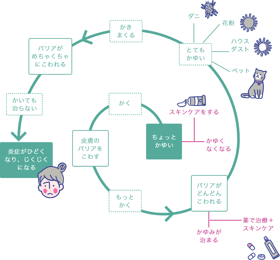 アトピー性皮膚炎で起こりやすいかゆみの悪循環